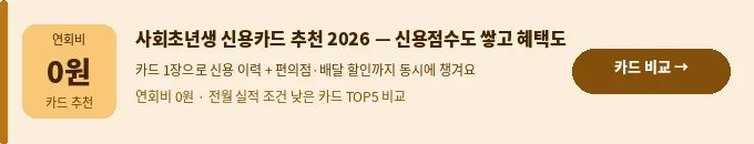 사회초년생