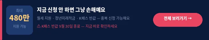 청년 지원사업